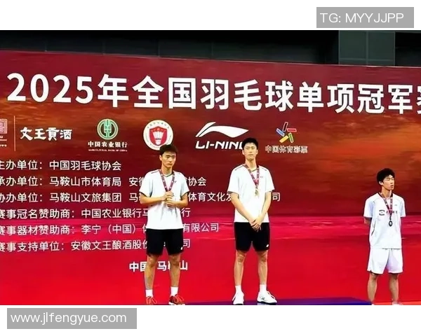 南京羽毛球队逆袭之路揭秘冠军赛背后的奋斗与荣耀